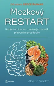 Mozkový restart - Albert Villoldo