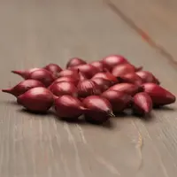 Cibuľa red karmen 300g /8-21mm/ červená
