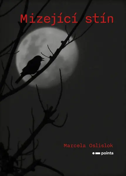 Mizející stín - Marcela Oslislok