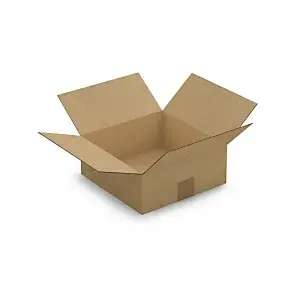 25 x Kartonová krabice 250x250x100mm, hnědá, klopová,třívrstvá vlnitá lepenka (3VVL) | RAJA