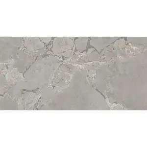 Dlažba Emil Unique Infinity Cobblestone grey 60x120 cm mat EML5
