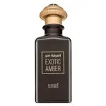 Hamidi Exotic Amber parfémovaná voda unisex 100 ml