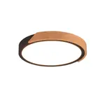 Reality Jano led stropné osvetlenie čierna r67201132 RER67201132