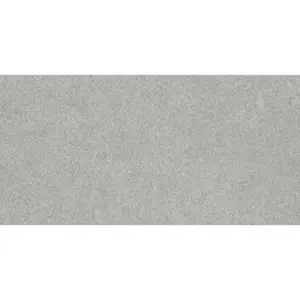 Dlažba Rako Block sivá 40x80 cm mat DAK84781.1