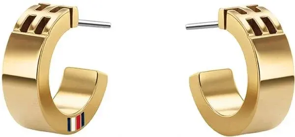 Tommy Hilfiger Fashion pozlacené náušnice kruhy TH2780418