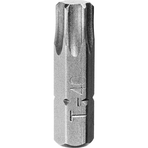 Bit Torx,  T40 x 25 mm, 3 ks, Drel