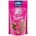 Pochoutka Vitakraft Cat Yums s játry 40g