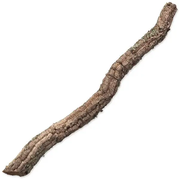 Dekorace Repti Planet Korková větvička XL 90cm-120cm