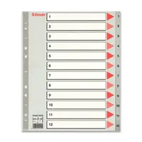 Rozlišovač Esselte Maxi - 1 - 12, 12 listů