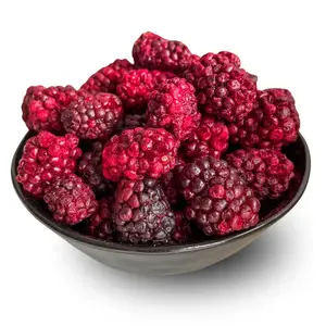 Lyopotraviny Ostružiny lyofilizované (sušeno mrazem), 25 g