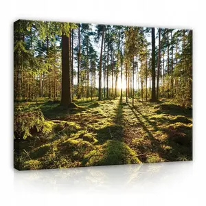 Wallarena PLÁTNO Les Příroda Obývací pokoj 100x70
