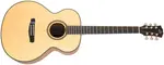 Dowina Rustica GA-s