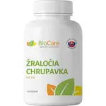 Žraločia chrupavka 500mg (2×110 tabliet)