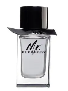 Burberry Mr. Burberry - EDT 100 ml