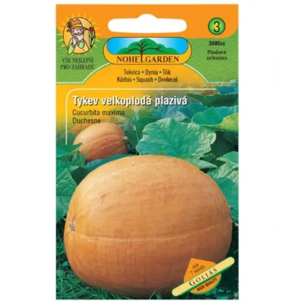 Tekvica veľkoplodová plazivá Goliáš