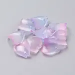 Glass Charms