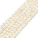 Natural Cultured Freshwater Pearl Beads Strands