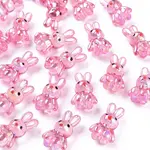 Transparent Acrylic Beads