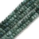 Natural Freshwater Shell Dyed Beads Strands
