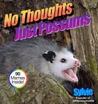 No Thoughts Just Possums - Sylvie Sylvie