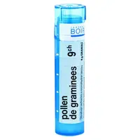 BOIRON Pollen De Graminees CH9 4 g