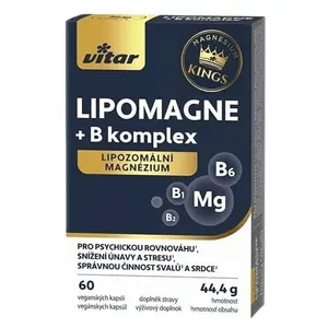 VITAR Kings Lipomagne + B komplex 60 kapslí