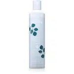 Echosline Frequent use Shampoo šampon pro každodenní mytí vlasů 300 ml