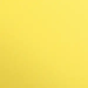 Barevný papír Maya A2 – 54 Lemon