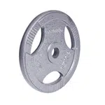 inSPORTline Litinový kotouč  Hamerton 15 kg 30 mm