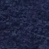 Pigment Zlatá loď 100g – 36000 Indigo pravé indické (NB1)