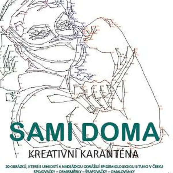 Sami doma - Matěj Pospíšil, Lucie Pospíšilová