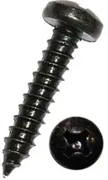 Dresselhaus Šrouby do plechu s půlkulatou hlavou křížové, DIN 7981 C, černé, různé rozměry, 100 ks Velikost: 4.8x19 mm