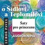 Neobvyklá pohádka o Šídlovi a Teplomilovi – šaty pro princeznu - Luboš Pavel - audiokniha