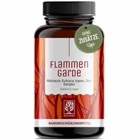 Ohnivá stráž - komplex kurkumy, kadidla, zázvoru, škorice a čierneho korenia, 90 kapsúl