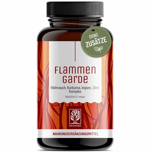 Ohnivá stráž - komplex kurkumy, kadidla, zázvoru, škorice a čierneho korenia, 90 kapsúl