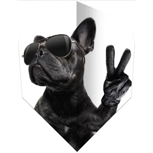 Windson SET PLASTOVÝCH LETIEK Set letiek, mix, veľkosť