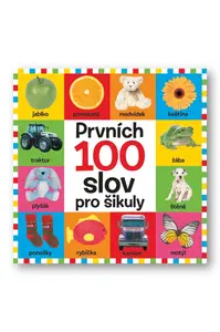 Prvních 100 slov pro šikuly