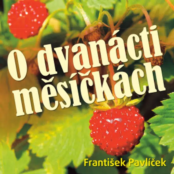 O dvanácti měsíčkách - Božena Němcová, Martin Růžek, Ladislav Županič, Otakar Brousek, David Schneider, Sylva Sequensová, Miroslava Hozová, Jana Andre