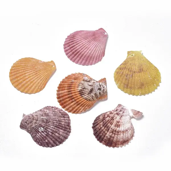 Scallop Shell Pendants