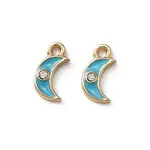 Zinc Alloy Enamel Charms