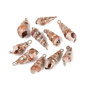 Electroplated Golden Brass Trim Natural Spiral Shell Pendants
