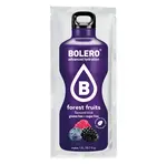 BOLERO Forest fruit instantní nápoj 1 kus