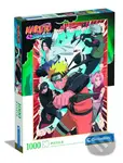 Naruto 1000