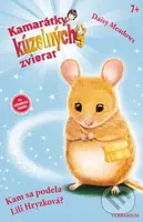 Kam sa podela Lili Hryzková? - Daisy Meadows - kniha z kategorie Pohádky