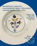 Novokřtěnská, habánská a posthabánská fajáns v Moravském zemském muzeu (1600-1765) - kniha z kategorie Keramika