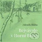Bejvávalo v Horní Bříze - Zdeněk Bláha - kniha z kategorie Společenská beletrie
