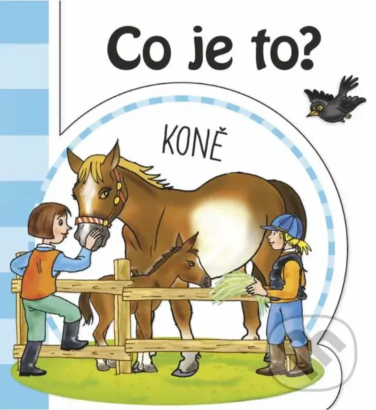 Koně