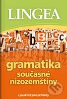 Gramatika současné nizozemštiny (S praktickými příklady) - kniha z kategorie Jazykové učebnice a slovníky