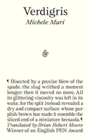 Verdigris - Michele Mari