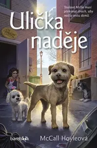 Kniha: Ulička naděje od Hoyleová McCall